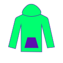 HOODIE Icon