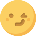wink Icon
