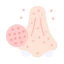 Rhinology Icon