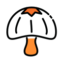 Mushroom Icon