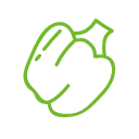 green pepper Icon