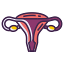 FEMALE REPRODUCTIVE Icon
