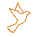 Dove of peace Icon