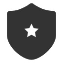 fill_ qualifications Icon