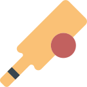 cricket Icon