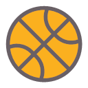Basketball Icon