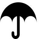 Agency vehicle insurance Icon